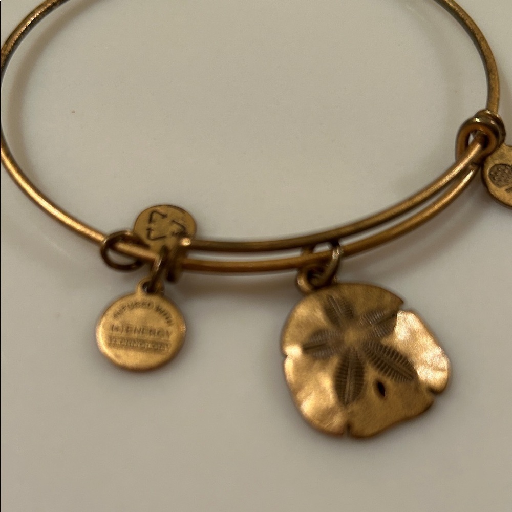 alex and ani Gold Charm Bangle Bracelet - Picture 2 of 4